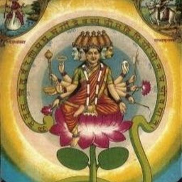 avatar of Apan Madhesh