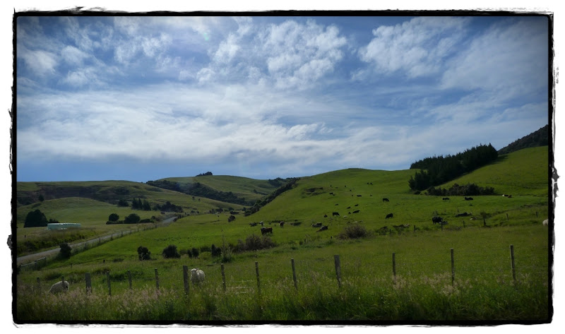 De Otago a Invercargill por los Catlins - Te Wai Pounamu, verde y azul (Nueva Zelanda isla Sur) (10)