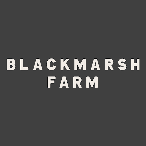 Blackmarsh Farm, Shop and Café - The Toy Barn logo