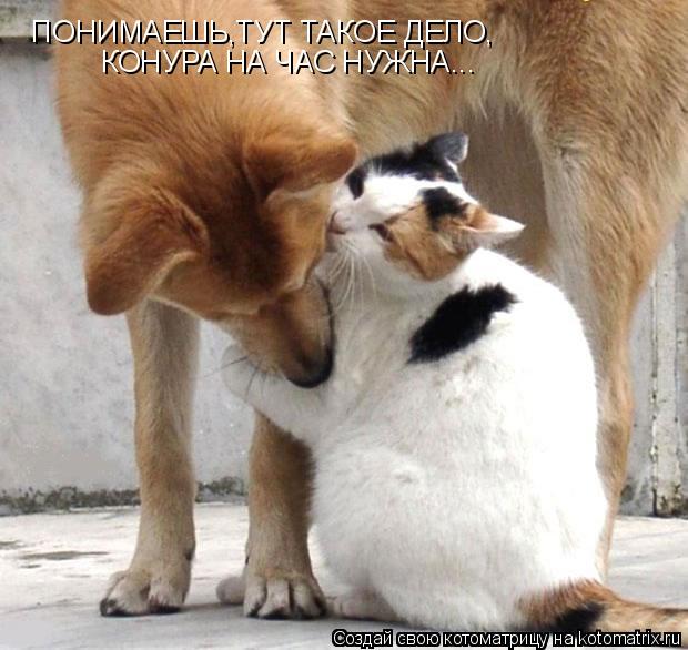 Ни дня без улыбки. Здоровый пессимизм... Ни дня без улыбки. Здоровый пессимизм...