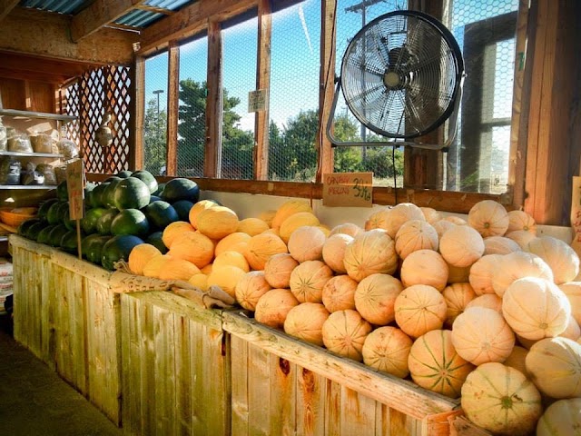 Sunny Farms Country Store