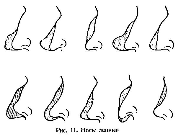 Типы Носов У Девушек Фото И Названия
