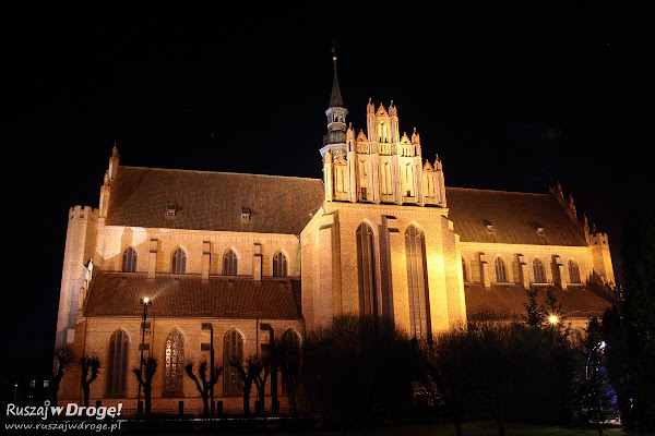 Katedra Pelplin nocą