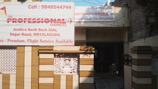 The Professional Couriers, Sagar Road, Andhra Bank Backside, Sitarampuram, Miryalguda, 508207, India, Delivery_Company, state TS
