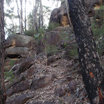 Track up to St Helenas lookout (149472)