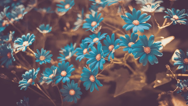 Cover photo