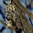 Muhammed A.G. avatar image