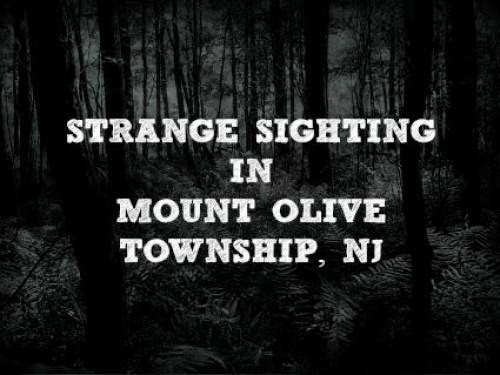 Strange Sighting In Mount Olive Township Nj
