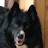 Logan Qnoln avatar image