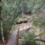 Timber bridge near Boarding House Dam in the Watagans (65952)