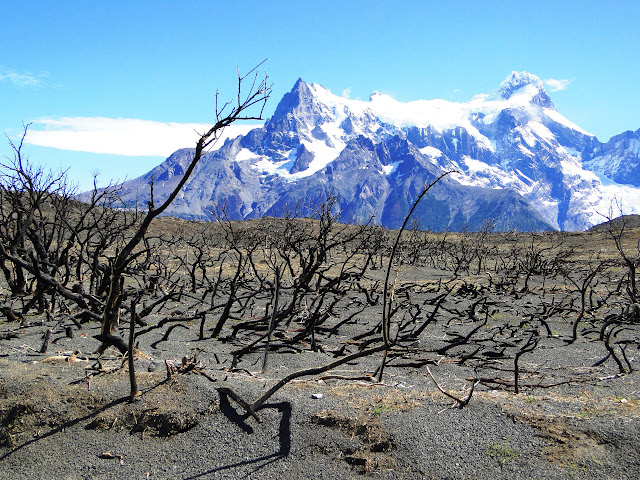 PATAGONIA E IGUAZÚ - Blogs de America Sur - Torres del Paine (6)