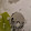 Joel Lentz Joel Lentz's profile photo