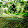 James Khoui James Khoui's profile photo