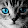hana bm hana bm's profile photo