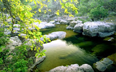 Río Sapo Río Sapo