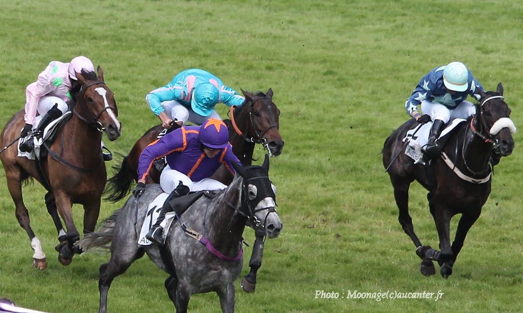 Photos Auteuil 8-06-2014  - Page 2 IMG_1910
