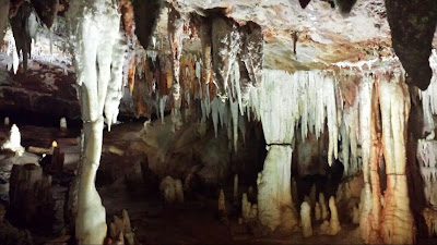 Cuevas del Águila -Valle del Tiétar- Avila, Naturaleza-España (3)