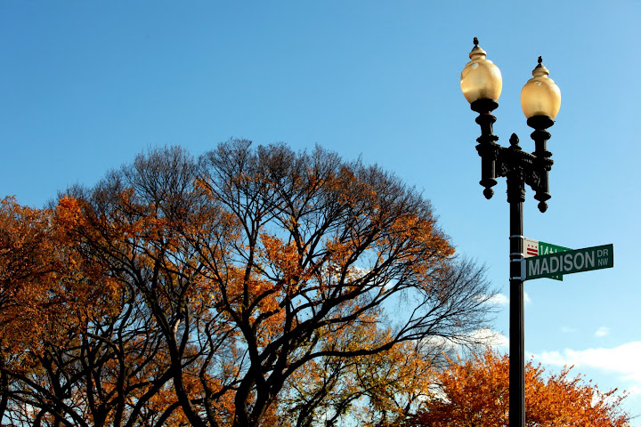 "Autumn at Washington DC"