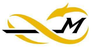 Momentum Martial Arts logo
