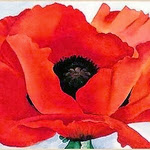 Red Poppy - G. O'Keeffe