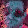 Craig Sokol Craig Sokol's profile photo