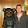 Chris Halstead Chris Halstead's profile photo