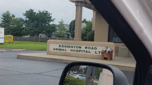 Veterinarian «Essington Road Animal Hospital», reviews and photos