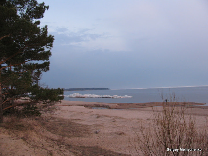 Четыре часа по улицам старого Таллина… (Фото)