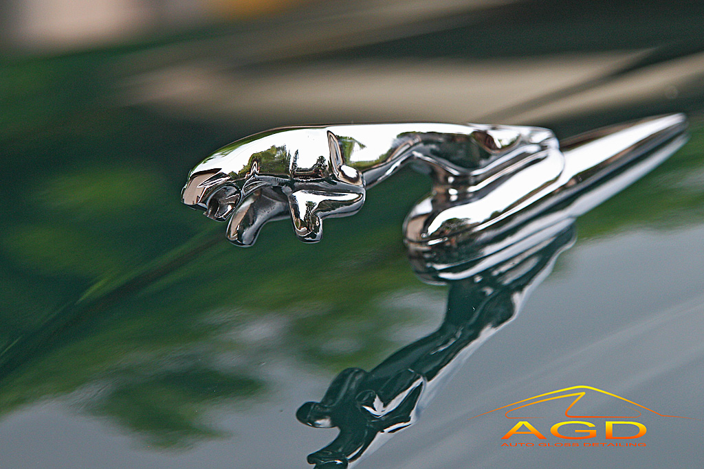  AGDetailing - Una Gran Signora (Jaguar XJ6 X300 Sovereign) B84C0838