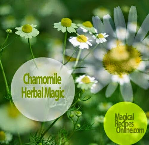 Herb Analysis Chamomile The Earth Apple