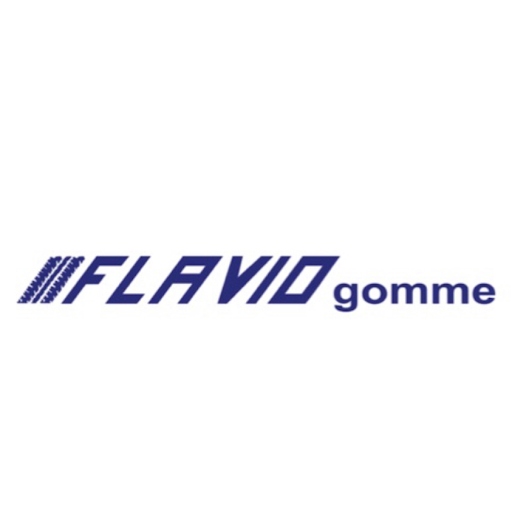 Flavio Gomme SRL - Driver Center Pirelli logo