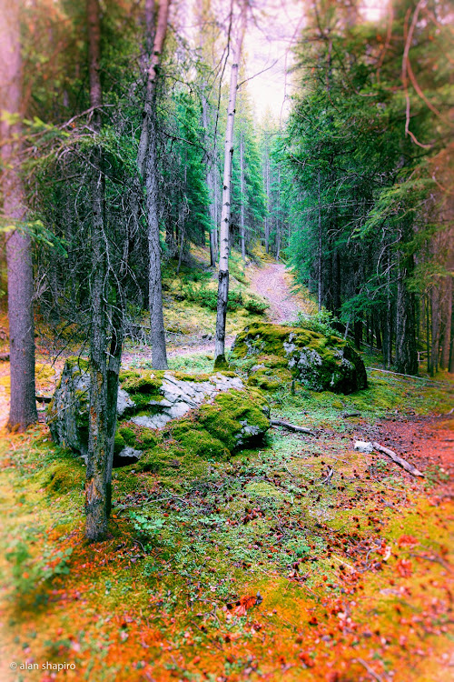 posted image