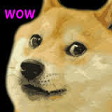 doge_wow.jpeg