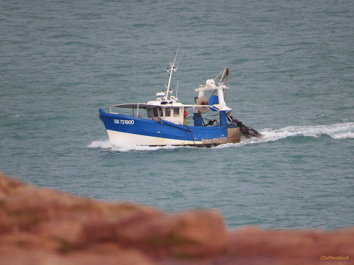 Cap Fréhel