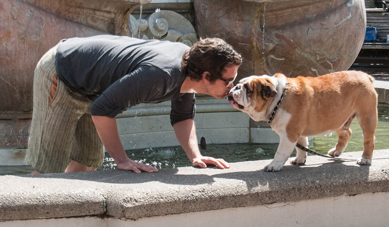 Black & Tan Shorts: Bull Dog Smooches