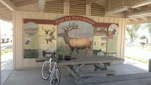 Nature Preserve «Tule Elk Reserve State Natural Reserve», reviews and photos, 8653 Station Rd, Buttonwillow, CA 93206, USA