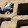 Charlotte Cable Charlotte Cable's profile photo