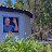 Sean Noonan avatar image