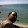 Jose Vidal Jose Vidal's profile photo