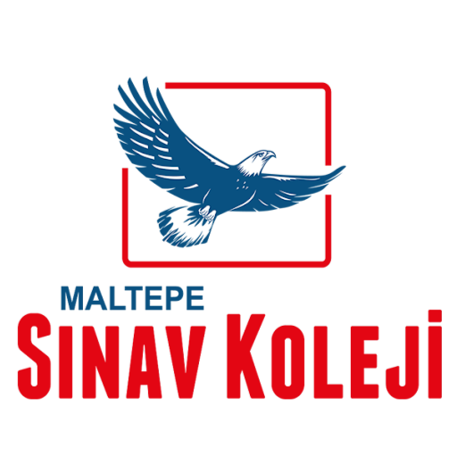 Maltepe Sınav Koleji Maltepe Kampüsü &YKS Kursu & Maltepe Hazırlık Okulu logo