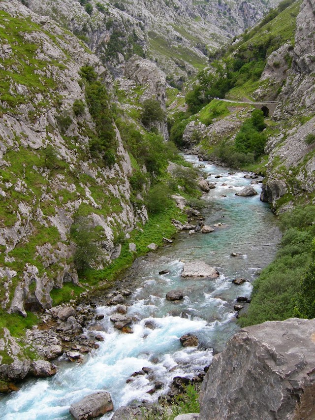 Camarmeña
