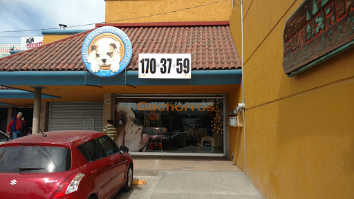 Cachorros Cachorros y mas Cachorros, Blvd. Mariano Escobedo 2703, Local 9, La Martinica, 37500 León, Gto., México, Tienda de animales | GTO