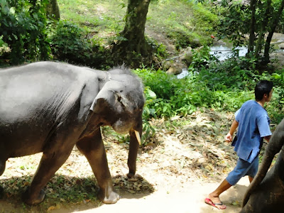 Майский Тай (Бангкок-Самуи-Тао)