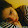 Valentina Rios Valentina Rios's profile photo