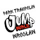 Park trampolines JumpWorld Wroclaw