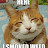 kimmi love avatar image