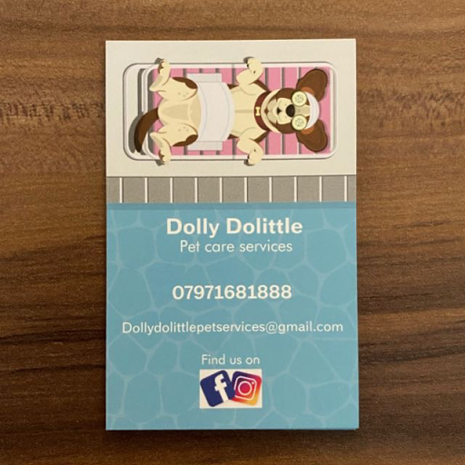 Dolly Dolittle pet services logo
