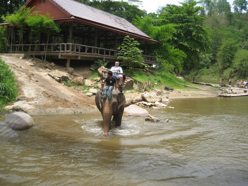 Por Tierras de Siam - Blogs de Tailandia - Chiang Mai - Tiger Kingdom / Maetaeng Elephant Park/ Wat Doi Suthep (17)