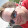 Gary Andrews Gary Andrews's profile photo