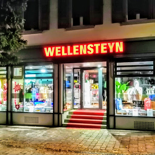 Wellensteyn Store Lörrach logo